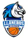 llaneros